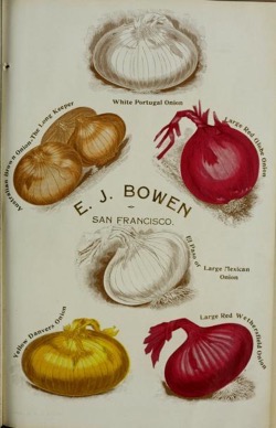 Historical Seed Catalogs: Illustrated and descriptive seed catalogue and price list by E.J. Bowen (1901) - 51 in a series