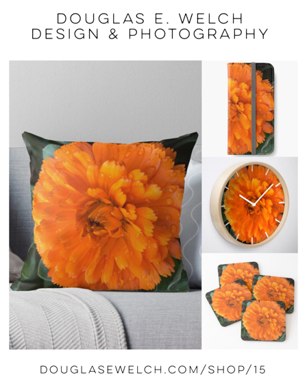 Raindrops On Marigolds - Products Exclusively From Douglas E. Welch Design and Photography [For Sale]