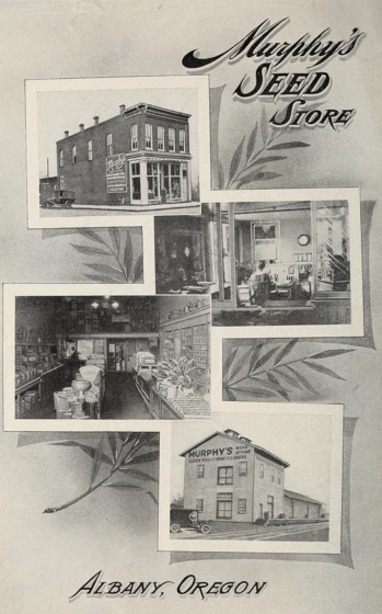 Historical Seed Catalogs: Murphy's Seed Store (1920) - 53 in a series