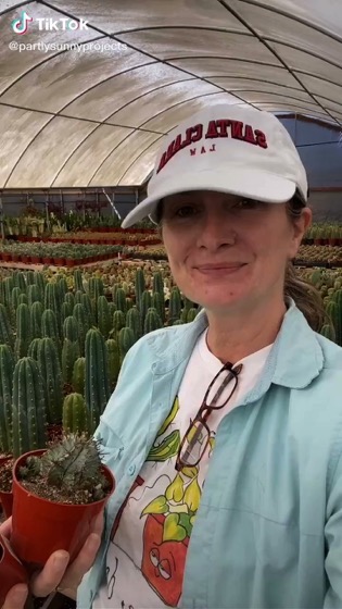 Captivating Cactus and Striking Succulents: 24 in a series - Plant Shopping With Partly Sunny Projects on TikTok