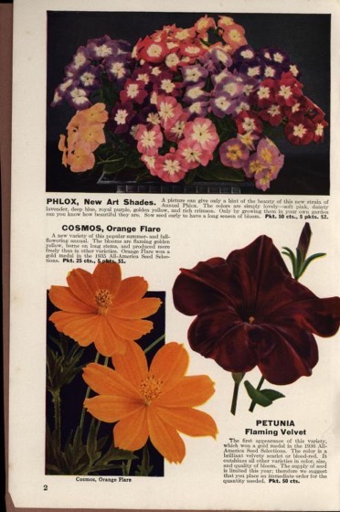 Historical Seed Catalogs: A book for garden lovers: Schling's seeds annual catalogue (1932) - 58 in a series