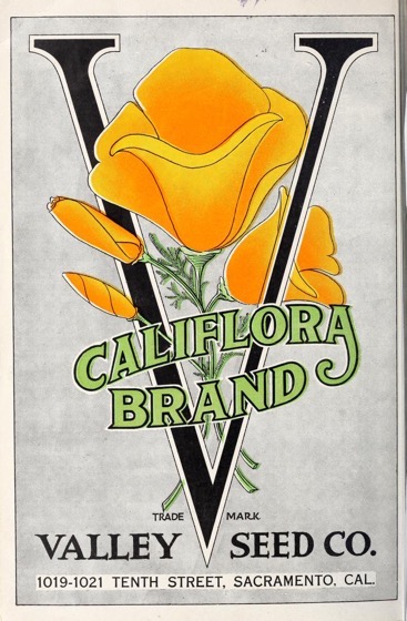 Historical Seed Catalogs: Valley Seed Co. (1919) - 61 in a series