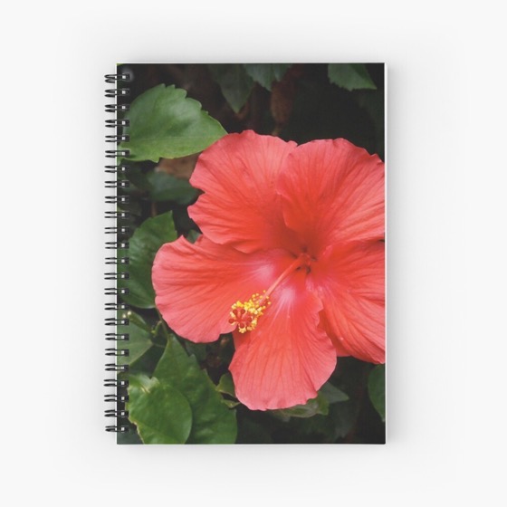 Red Hibiscus Notebook