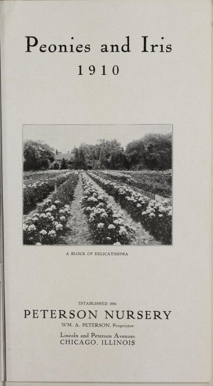 Historical Seed Catalogs: Peonies and iris by Peterson Nursery (1910) - 67 in a series