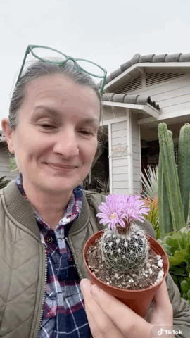 Captivating Cactus and Striking Succulents - 40 in a series - Cactus is a succulent but succulent isn’t a cactus!!! via Partly Sunny Projects on TikTok [Video]
