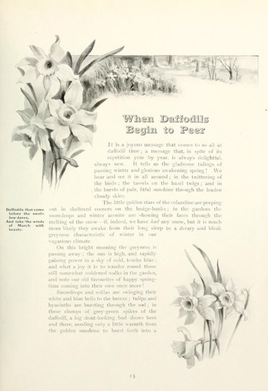 Historical Garden Books - 90 in a series - Flower pictures (1914) by Maude Angell