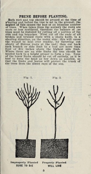 Historical Garden Books - 94 in a series - Instruction book for transplanting and managing fruits and ornamental trees, shrubs, vines and flowers from National Nurseries (1923)