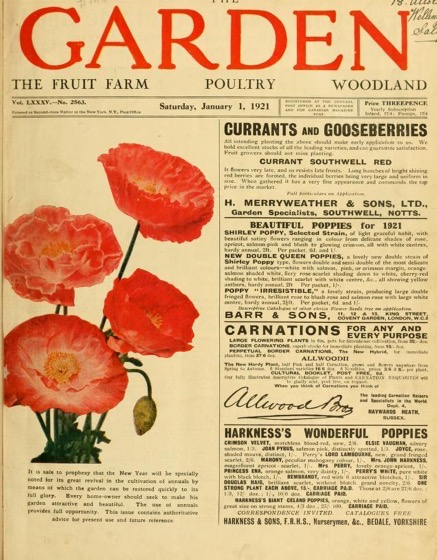 Historical Garden Books - 92 in a series - The Garden: An Illustrated Weekly Journal Of Gardening In All Its Branches (1921)