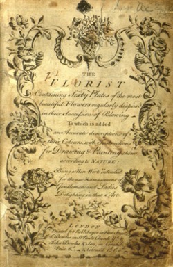 Vintage Botanical Prints - 4 in a series - Hyacinth from The florist :containing sixty plates of the most beautiful flowers regularly disposed in their succession of blowing.(1760)