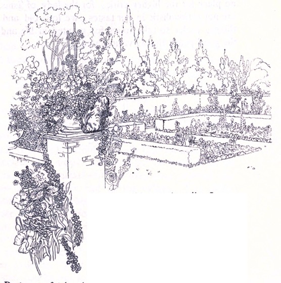 Artwork from Our Sentimental Garden (1914) - 14 n a series