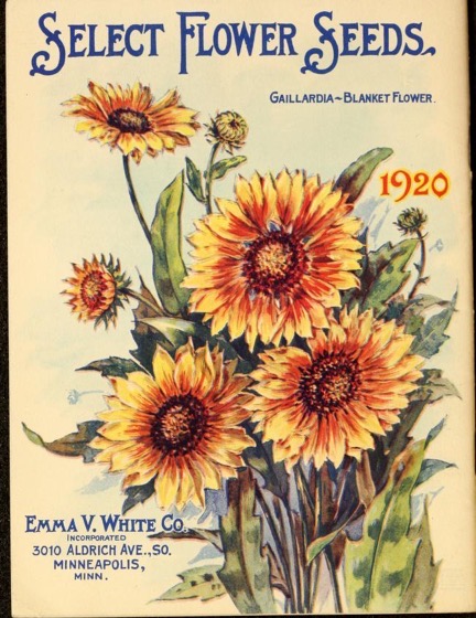 Historical Seed Catalogs - 76 in a series -Seeds bulbs plants by Emma V. White