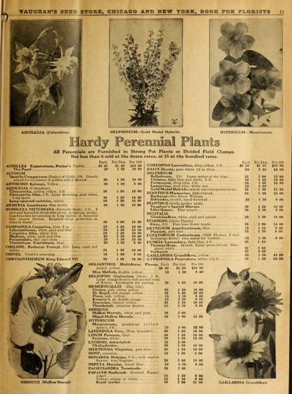 Historical Seed Catalogs - 77 in a series - Vaughan's Book For Florists : Bulbs Supplies (1920)