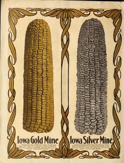 Historical Seed Catalogs - 81 in a series - Seeds by Montgomery Ward (1908)