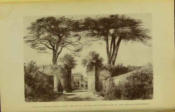 Historical Garden Books - 99 in a series - Memoirs, historical and illustrative, of the Botanic Garden at Chelsea... (1878)