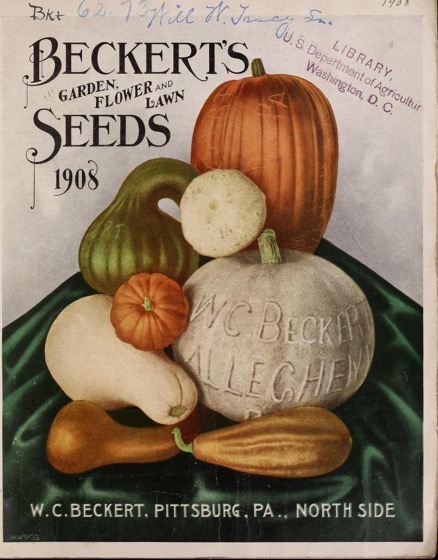 Historical Seed Catalogs - 79 in a series - Beckert's garden, flower and lawn seeds (1908)