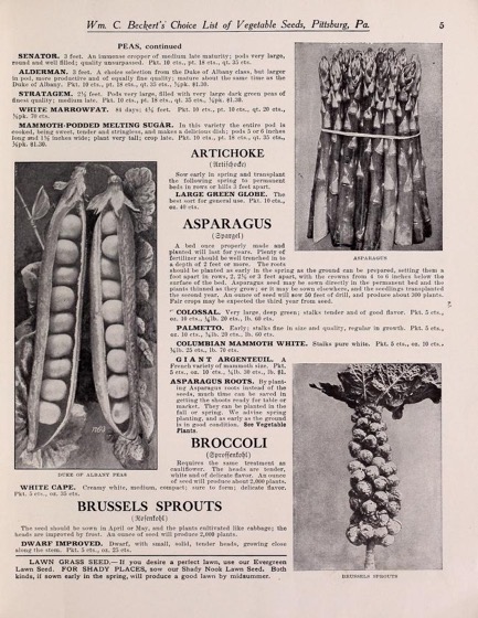 Historical Seed Catalogs - 79 in a series - Beckert's garden, flower and lawn seeds (1908)