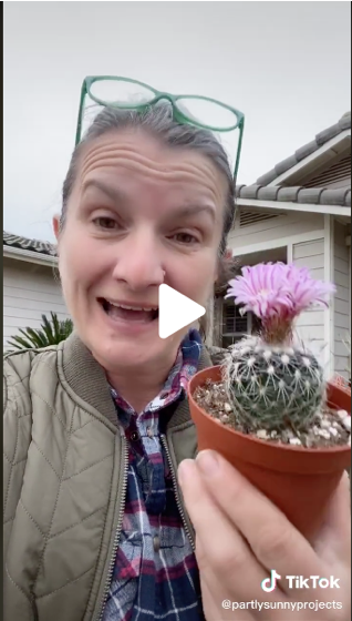 Cactus is a succulent but succulent isn’t a cactus! via Partly Sunny Projects on TikTok [Video]