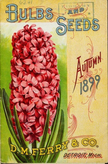 Historical Seed Catalogs - 86 in a series - Bulbs And Seeds: Autumn 1899 By D.M. Ferry & Co