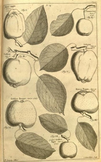 Historical Garden Books - 101 in a series - Pomona, Or, The Fruit Garden Illustrated (1729)