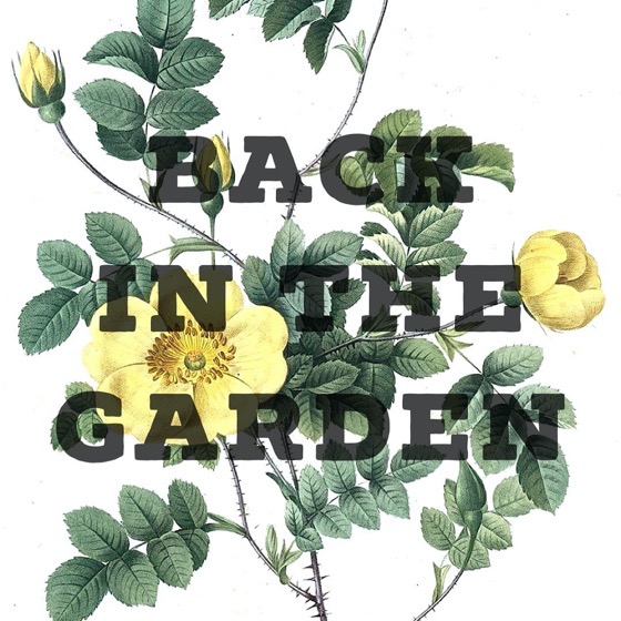 Back in the Garden via Instagram