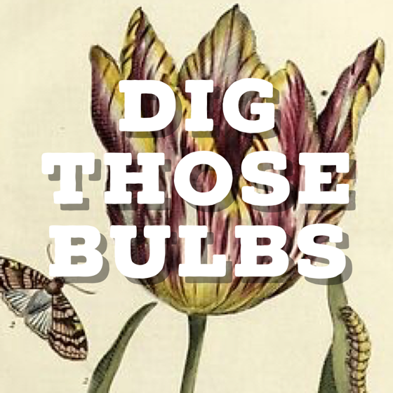 Dig Those Bulbs! via Instagram