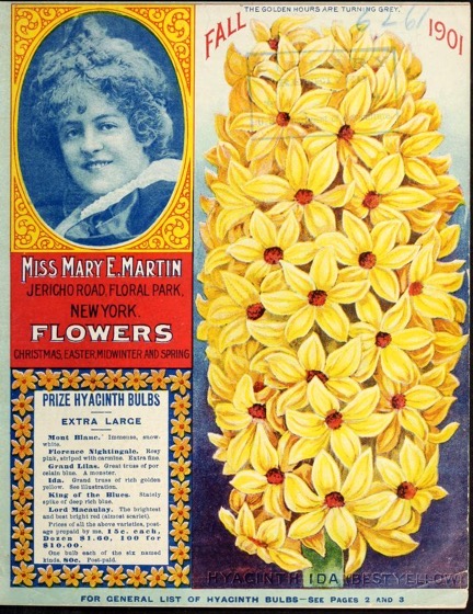 Historical Seed Catalogs - 89 in a series - Flowers : Christmas, Easter, midwinter and spring (1901) by Miss Mary E. Martin