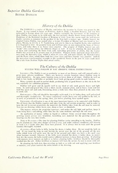 Dazzling Dahlias - 59 in a series - Superior Dahlia Gardens Catalog (1921)