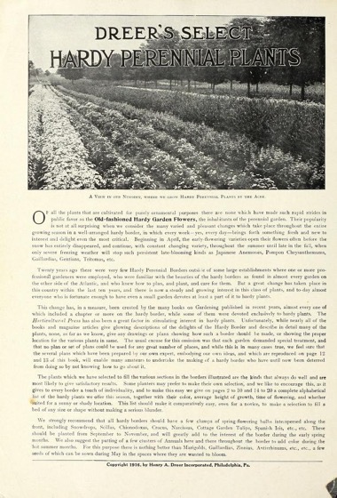 Historical Seed Catalogs - 91 in a series - Dreer's old-fashioned hardy plants (1916)