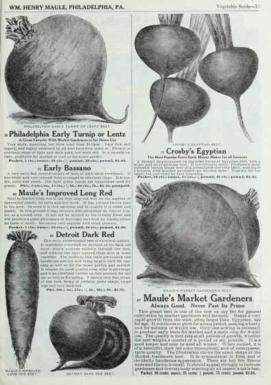 Historical Seed Catalogs - 92 in a series - The Maule Seed Book (1914)