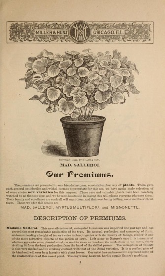 Historical Garden Books - 112 in a series - Miller & Hunt Florists (1884)