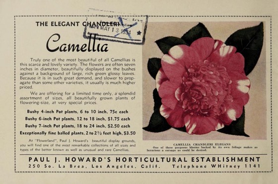 Historical Seed Catalogs - 95 in a series - Flowerland Specialties, Spring And Summer (1934)