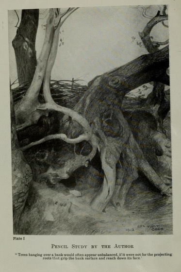 Historical Garden Books - 115 in a series - The artistic anatomy of trees: their structure & treatment in painting (1915)