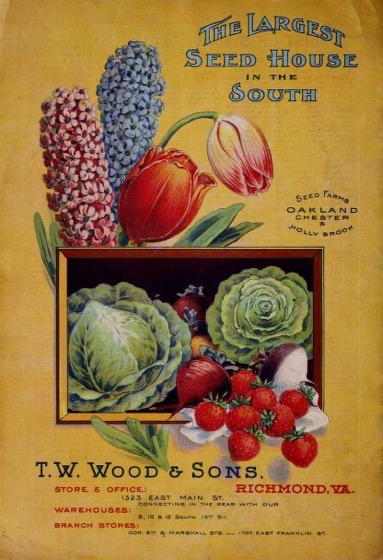 Historical Seed Catalogs - 103 in a series - Seeds & bulbs for fall planting (1902) by T.W. Wood & Sons