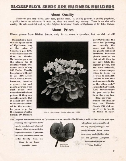 Historical Seed Catalogs - 108 in a series - Blossfeld Robert Catalogue (1930)
