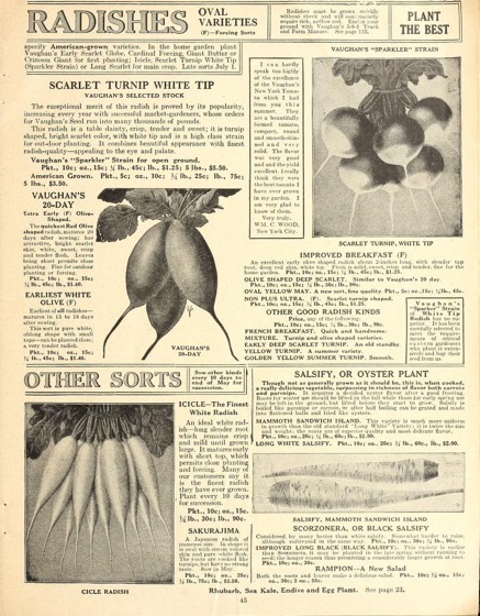 Historical Seed Catalogs - 109 in a series - Vaughan's Gardening Illustrated (1921)