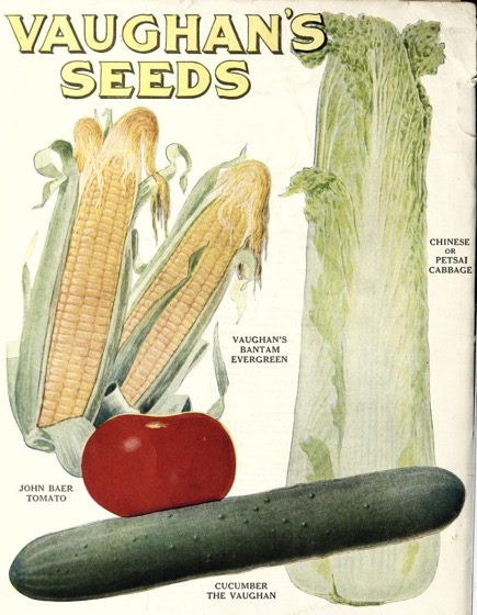 Historical Seed Catalogs - 109 in a series - Vaughan's Gardening Illustrated (1921)