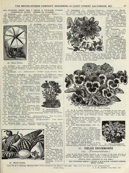 Historical Seed Catalogs - 114 in a series - The Meyer-Stisser Co. (1915)