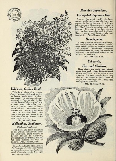 Historical Seed Catalogs - 115 in a series - Lippincott Flower Seeds: 1909 Greeting