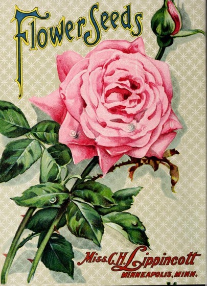 Historical Seed Catalogs - 115 in a series - Lippincott Flower Seeds: 1909 Greeting
