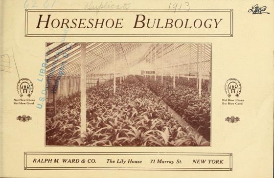 Historical Seed Catalogs - 117 in a series - Horseshoe bulbology (1913)