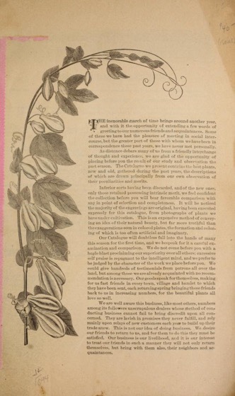 Historical Seed Catalogs - 118 in a series - Miller & Hunt Florists (1884)