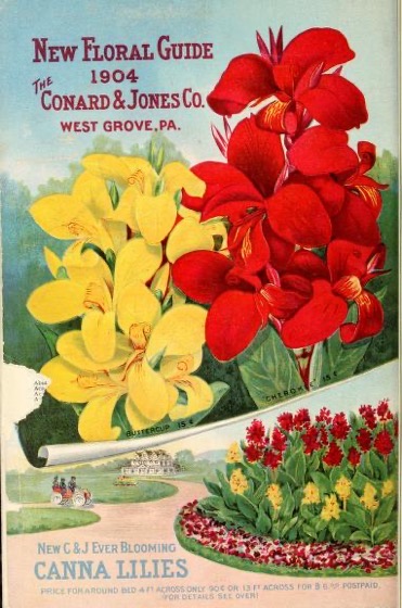 Historical Seed Catalogs - 116 in a series - New floral guide (1904)