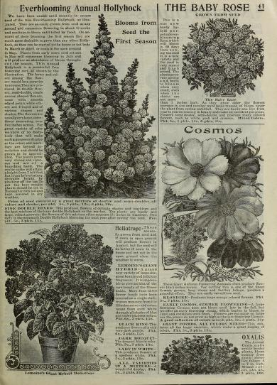Historical Seed Catalogs - 121 in a series - Seed annual (1912) by Mills Seed Company