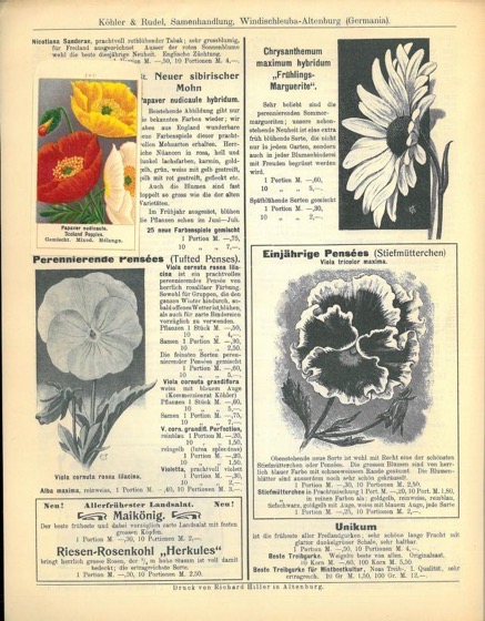Historical Seed Catalogs - 124 in a series - Koehler & Rudel: Neuheiten (1905)