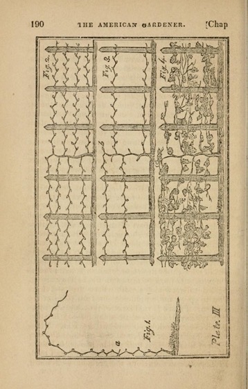 Historical Garden Books - 147 in a series - American Gardener (1819)