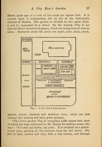 Historical Garden Books - 146 in a series - The principles of vegetable-gardening (1901) by L. H. (Liberty Hyde) Bailey