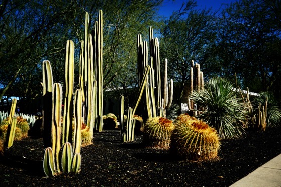 Sunnylands Center and Gardens, Rancho Mirage, California 12 via Instagram