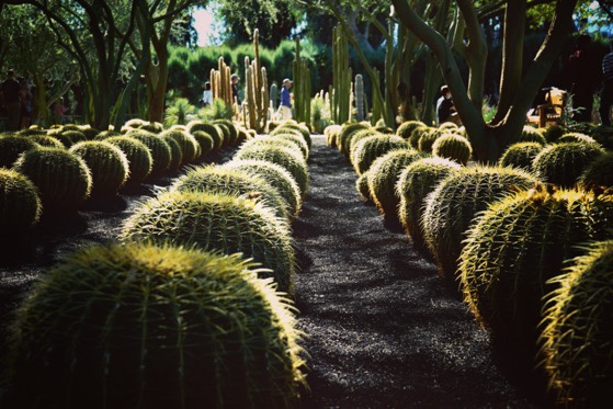 Sunnylands Center and Gardens, Rancho Mirage, California 17 via Instagram