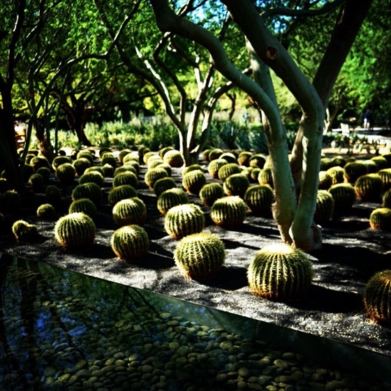 Sunnylands Center and Gardens, Rancho Mirage, California 22 via Instagram