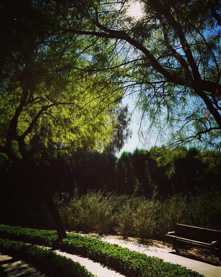 Sunnylands Center and Gardens, Rancho Mirage, California 31 via Instagram